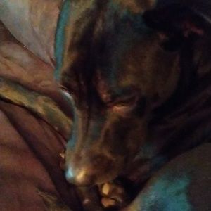 Meet your Posher, Keri